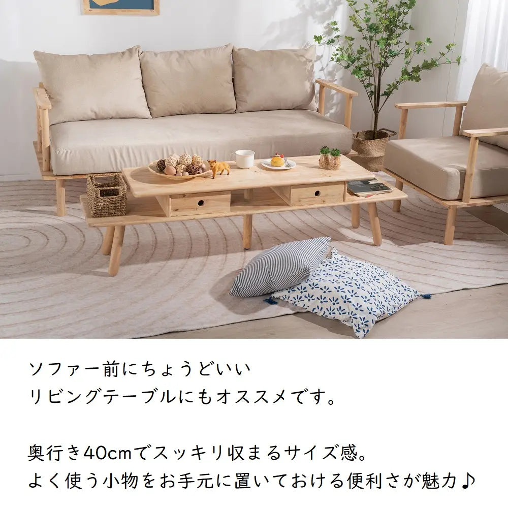 [160cm幅]テレビを置くだけじゃない。飾る楽しさまでデザインしたＴＶボード【お客様組立】